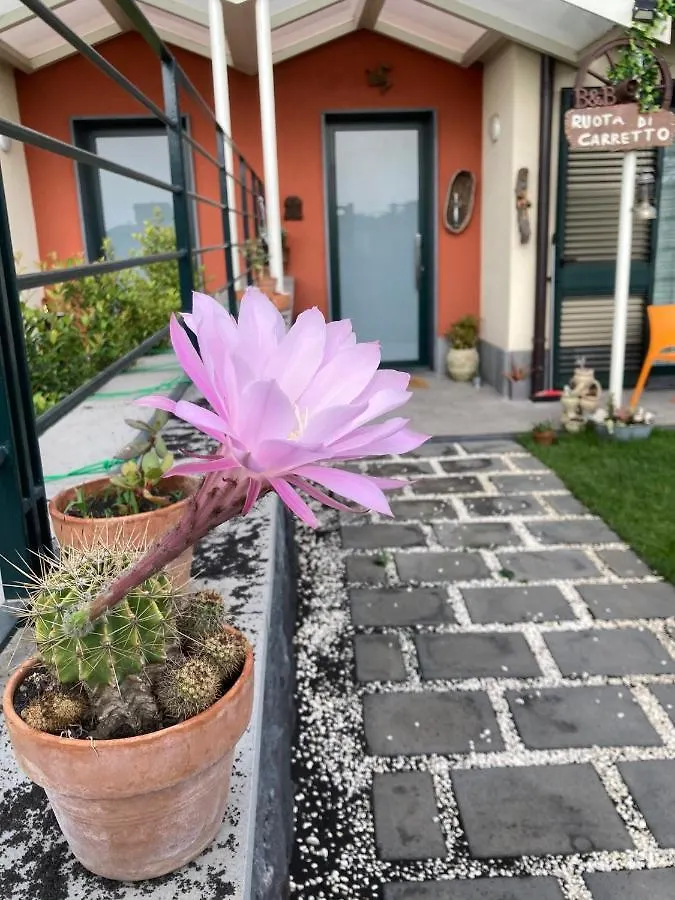 B&B Ruota Di Carretto Nicolosi Italy